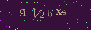 Validation image