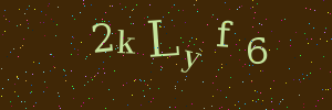 Validation image