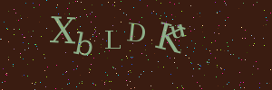 Validation image